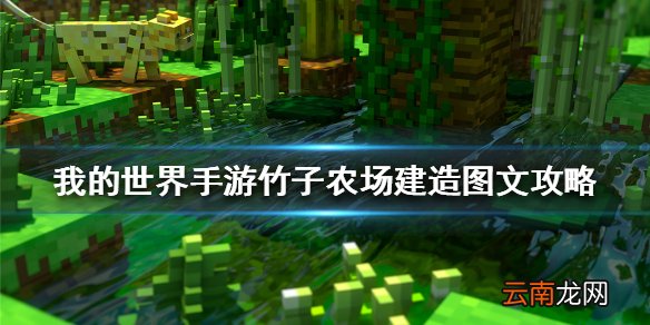 我的世界手游竹子农场怎么建 我的世界手游竹子农场建造图文攻略