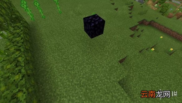 我的世界手游竹子农场怎么建 我的世界手游竹子农场建造图文攻略