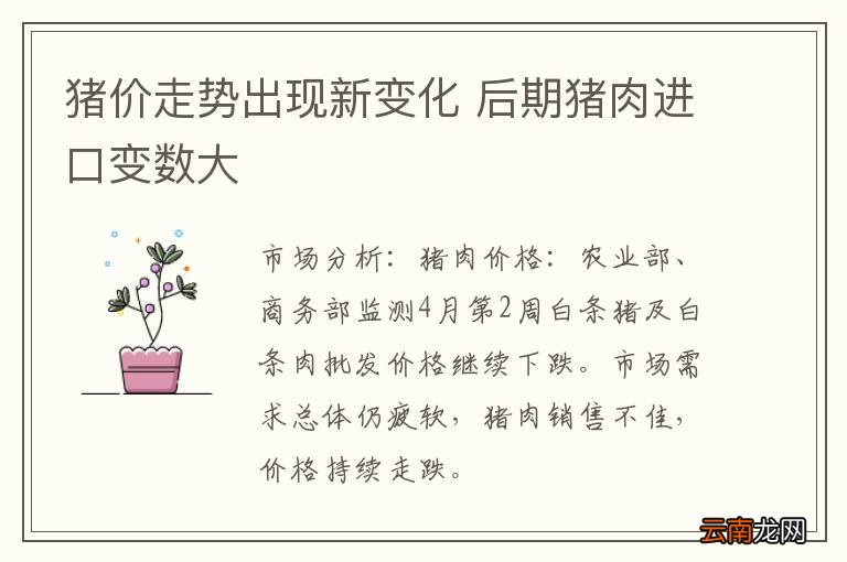 猪价走势出现新变化 后期猪肉进口变数大