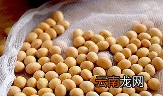 商用豆浆配方 超级简单