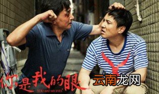 你是我的眼最后结局 具体内容如下