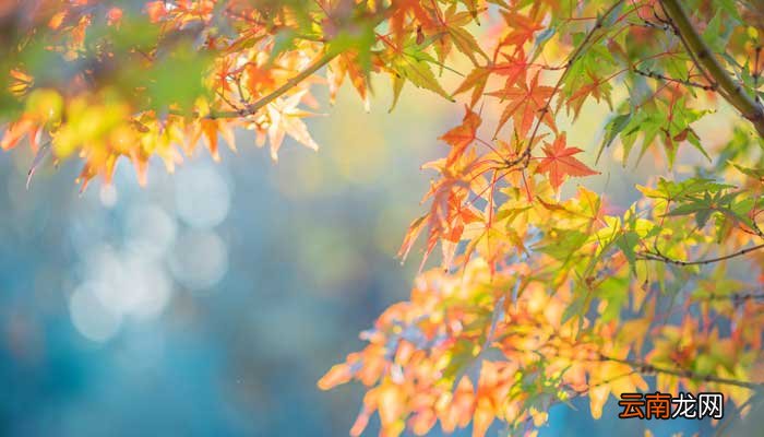 描写风景的古诗40首 描写风景的古诗