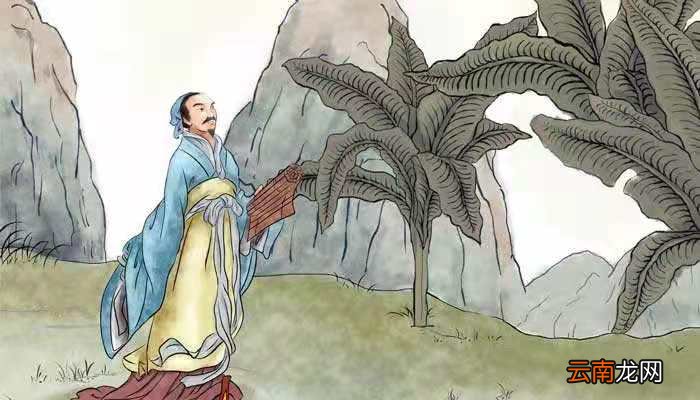 不畏浮云遮望眼自缘身在最高层的意思 不畏浮云遮望眼自缘身在最高层的意思相近的诗句