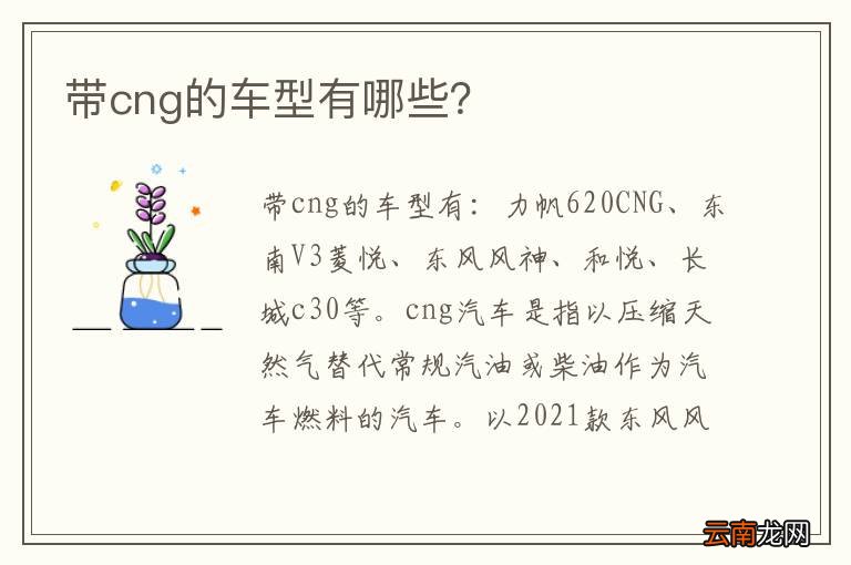 带cng的车型有哪些？