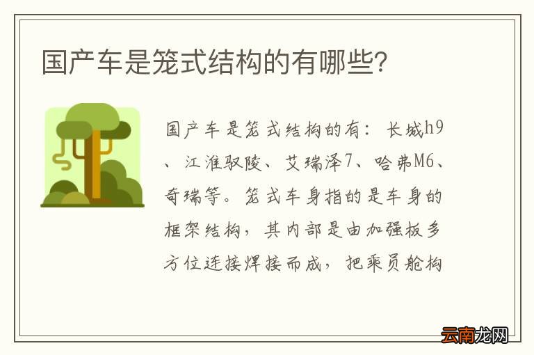 国产车是笼式结构的有哪些？