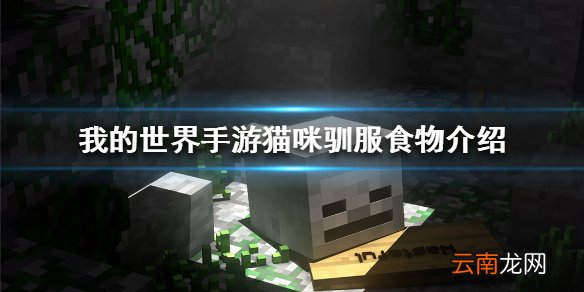 我的世界手游猫吃什么才能驯服 我的世界手游猫咪驯服食物介绍