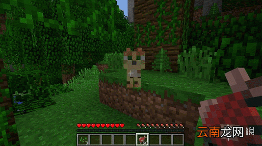 我的世界手游猫吃什么才能驯服 我的世界手游猫咪驯服食物介绍