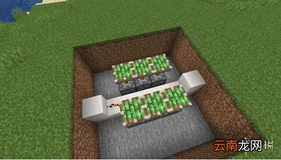 我的世界手游活塞门制作图文攻略 我的世界手游活塞门怎么建