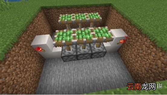 我的世界手游活塞门制作图文攻略 我的世界手游活塞门怎么建