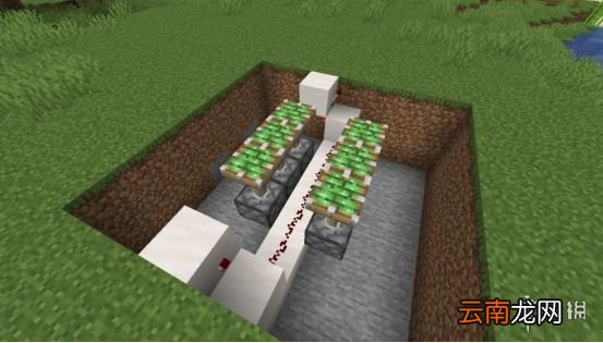 我的世界手游活塞门制作图文攻略 我的世界手游活塞门怎么建