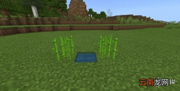我的世界手游自动甘蔗机建造图文攻略 自动甘蔗机怎么做