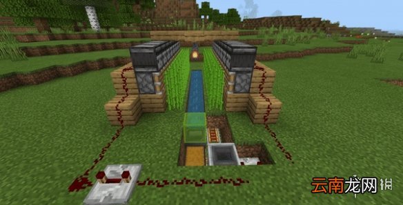 我的世界手游自动甘蔗机建造图文攻略 自动甘蔗机怎么做