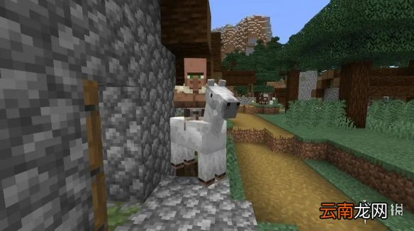 我的世界村民骑马指令使用攻略 我的世界手游怎么让村民骑马