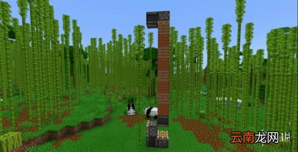 我的世界手游自动竹子收割机建造图文攻略 自动竹子收割机怎么做
