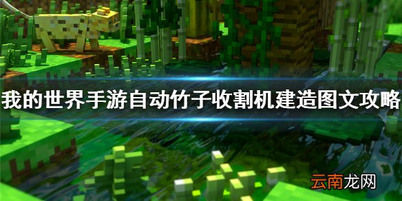我的世界手游自动竹子收割机建造图文攻略 自动竹子收割机怎么做