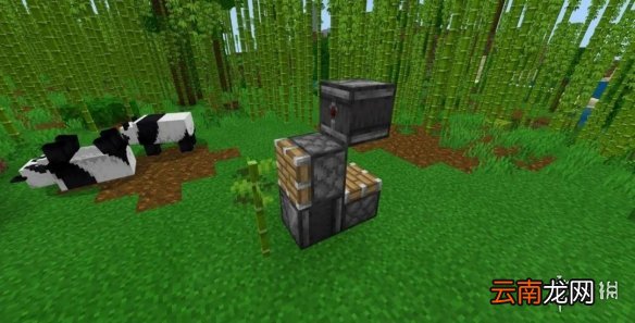 我的世界手游自动竹子收割机建造图文攻略 自动竹子收割机怎么做