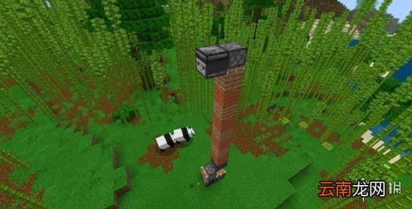 我的世界手游自动竹子收割机建造图文攻略 自动竹子收割机怎么做