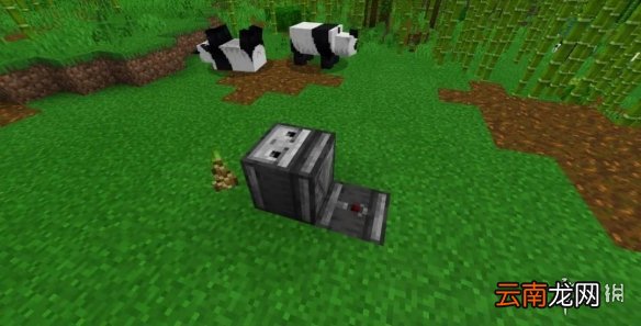 我的世界手游自动竹子收割机建造图文攻略 自动竹子收割机怎么做