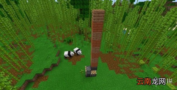 我的世界手游自动竹子收割机建造图文攻略 自动竹子收割机怎么做