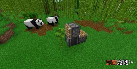 我的世界手游自动竹子收割机建造图文攻略 自动竹子收割机怎么做