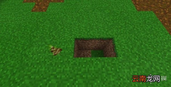 我的世界手游自动竹子收割机建造图文攻略 自动竹子收割机怎么做