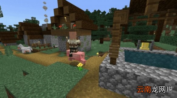 我的世界村民骑马指令使用攻略 我的世界手游怎么让村民骑马