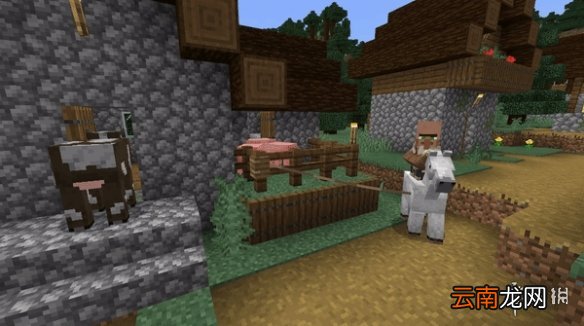 我的世界村民骑马指令使用攻略 我的世界手游怎么让村民骑马