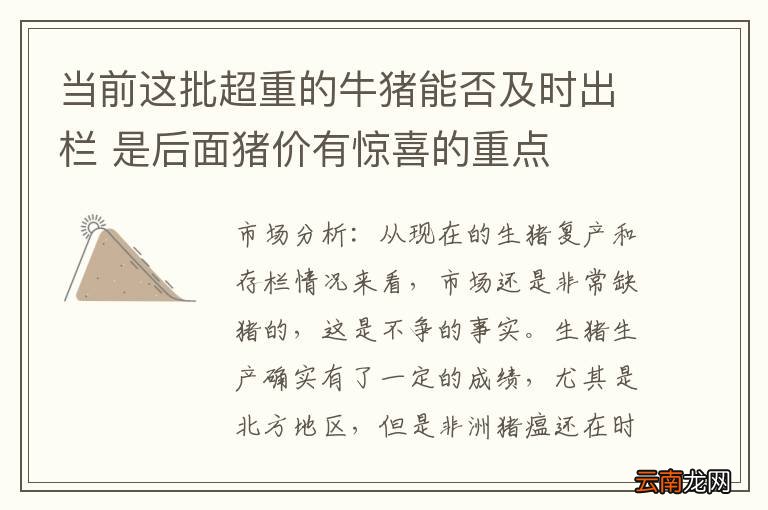 当前这批超重的牛猪能否及时出栏 是后面猪价有惊喜的重点