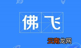 佛飞是什么意思 佛飞的意思