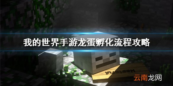 我的世界手游龙蛋怎么孵化 我的世界手游龙蛋孵化流程攻略