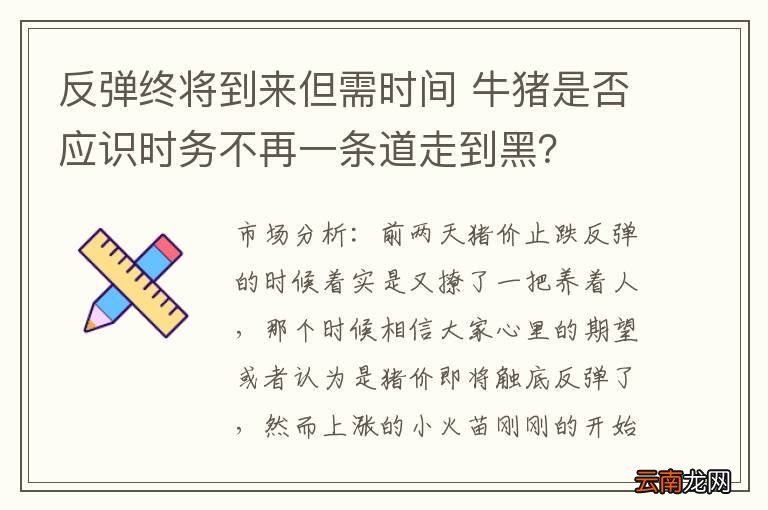 反弹终将到来但需时间 牛猪是否应识时务不再一条道走到黑？