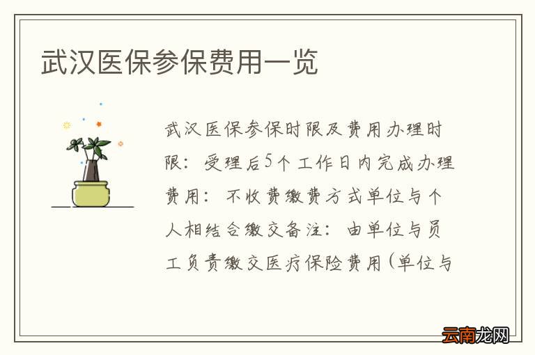 武汉医保参保费用一览