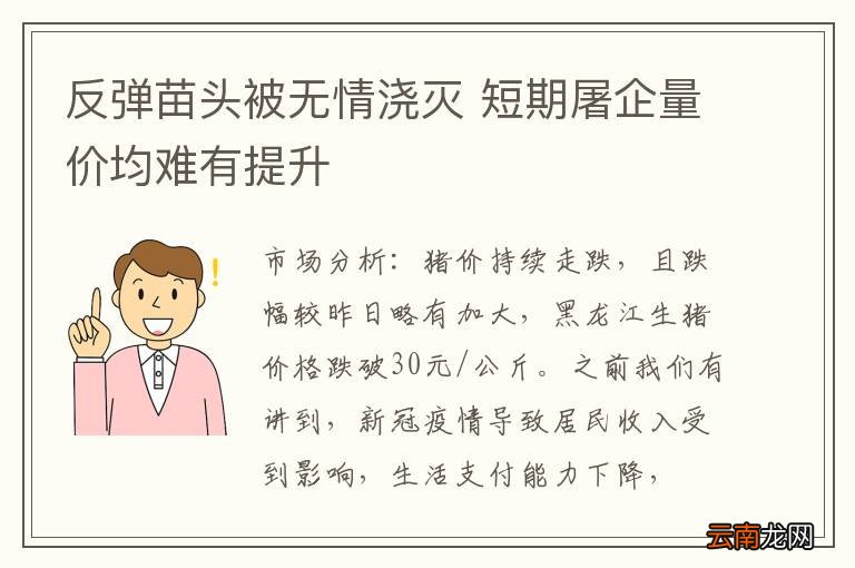 反弹苗头被无情浇灭 短期屠企量价均难有提升