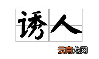 诱人的意思 诱人的解释