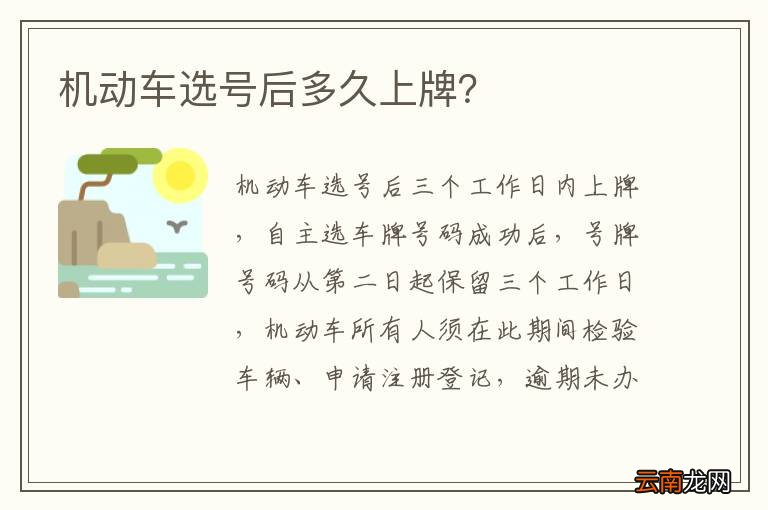 机动车选号后多久上牌？