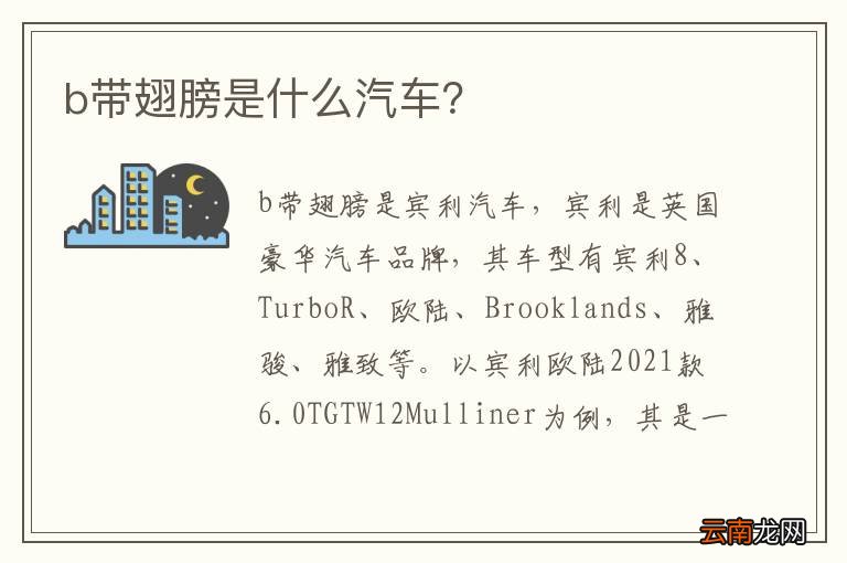 b带翅膀是什么汽车？