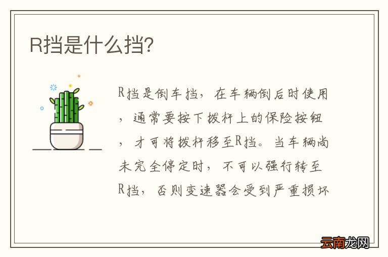 R挡是什么挡？