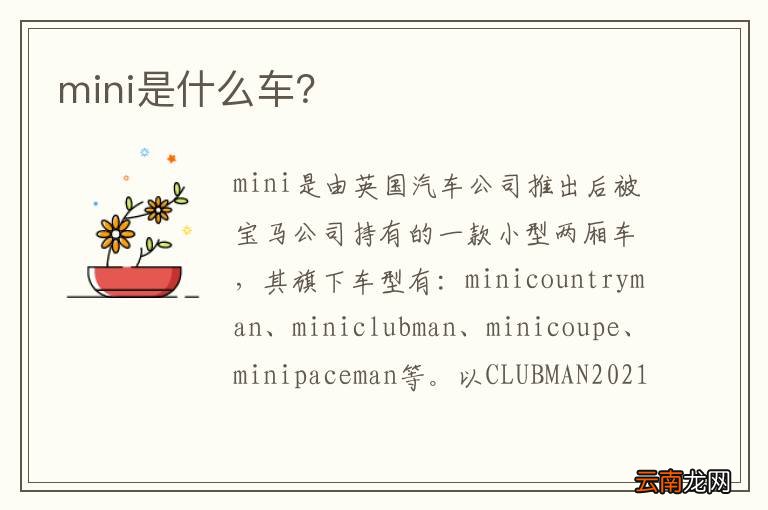 mini是什么车？