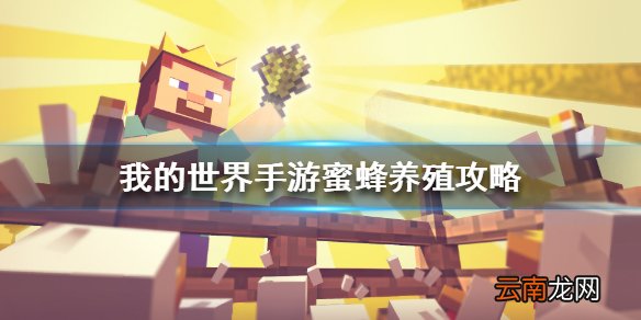 我的世界手游蜜蜂怎么养 我的世界手游蜜蜂养殖攻略