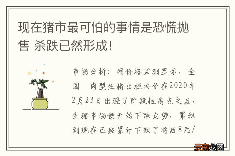 现在猪市最可怕的事情是恐慌抛售 杀跌已然形成！