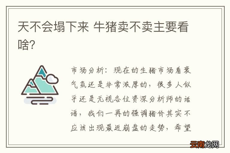 天不会塌下来 牛猪卖不卖主要看啥？