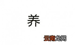 养组词 你能组多少个