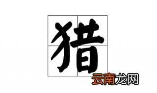 猎的成语 猎的成语汇总