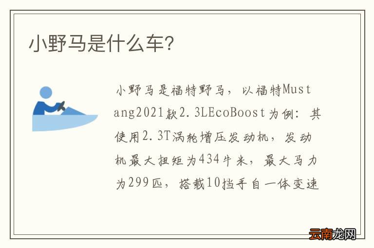 小野马是什么车?