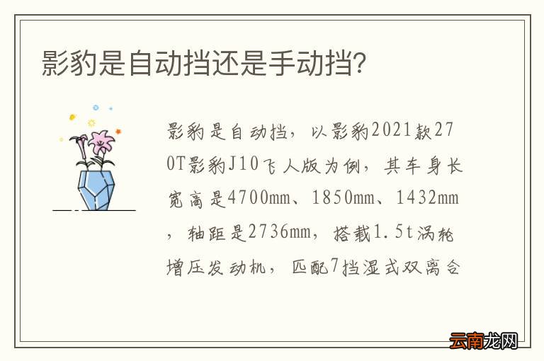 影豹是自动挡还是手动挡?