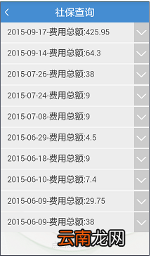 附条件 武汉医保参保流程一览
