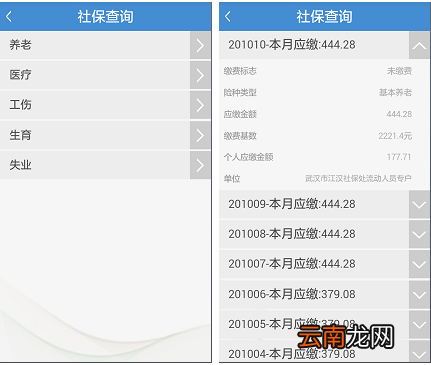 附条件 武汉医保参保流程一览