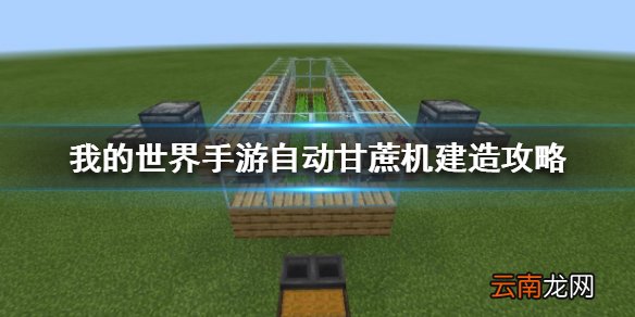 我的世界手游自动甘蔗机怎么做 我的世界手游自动甘蔗机建造攻略
