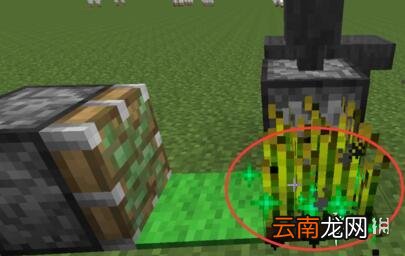 我的世界手游自动播种机怎么做 我的世界手游自动播种机建造攻略