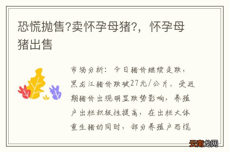 恐慌抛售?卖怀孕母猪?，怀孕母猪出售